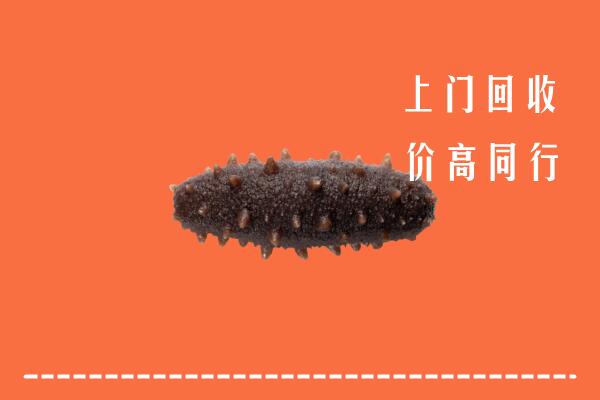 牟平区回收海参