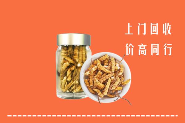 牟平区回收冬虫夏草