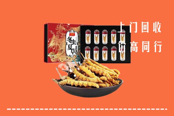 牟平区回收虫草
